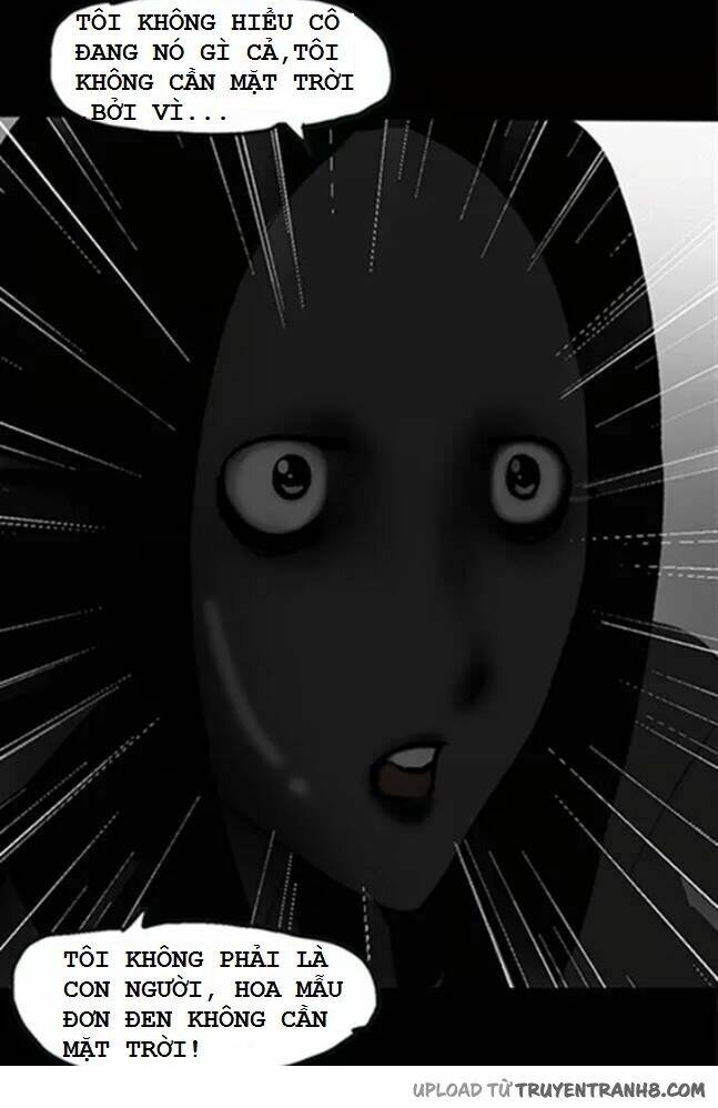 hoa mẫu đơn đen chapter 2 22