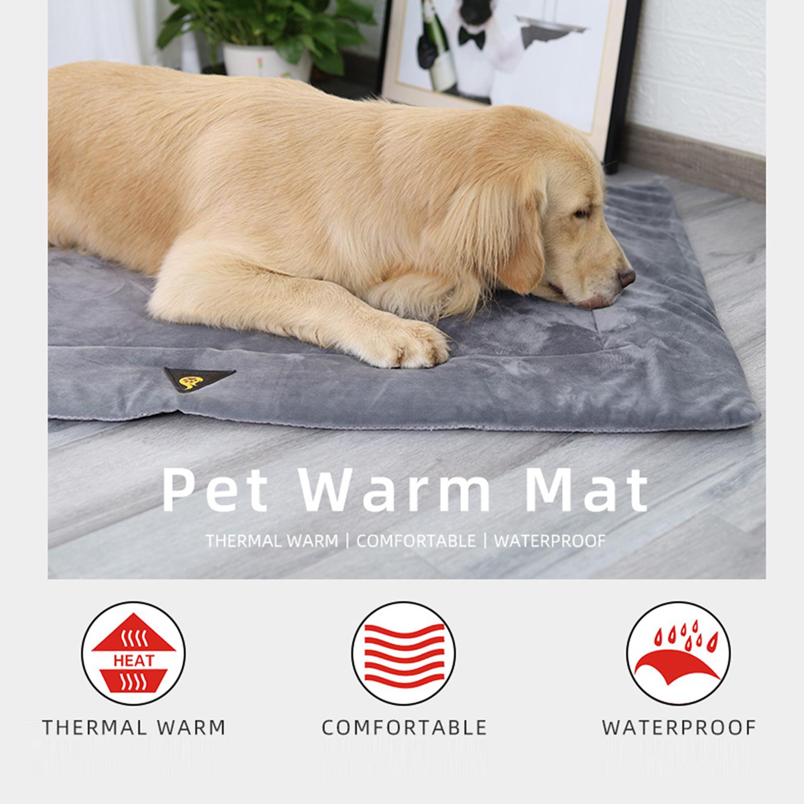 Thảm Lót Giữ Ấm Cho Thú Cưng