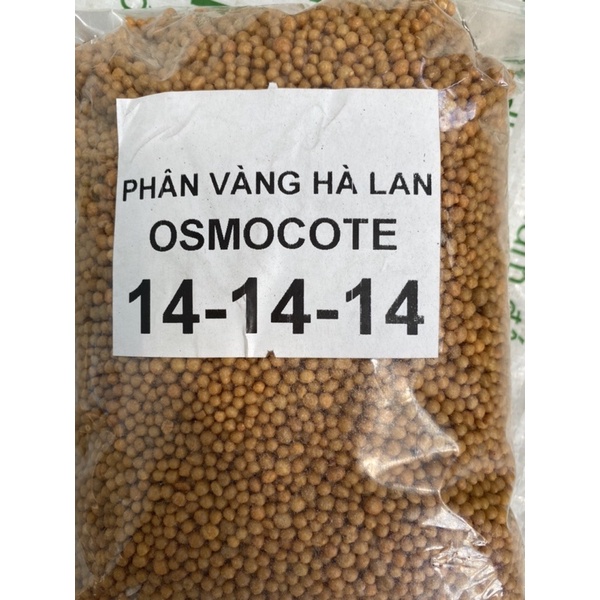 CÂY SEN ĐÁ PHÂN VÀNG TAN CHẬM GÓI 100G/19K