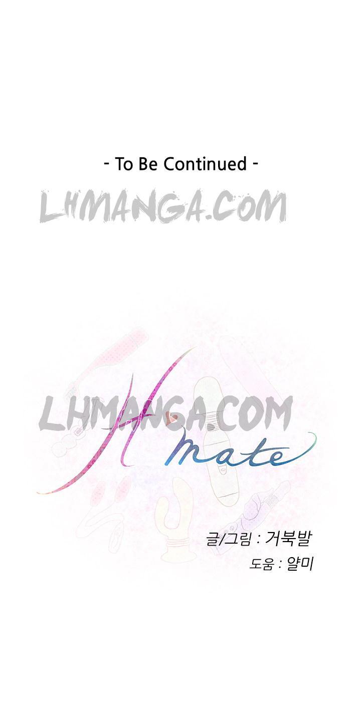 h-mate chapter 11 17