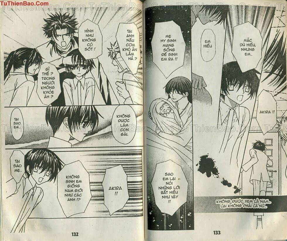 mối tình hoa hồng xanh chapter 5 65