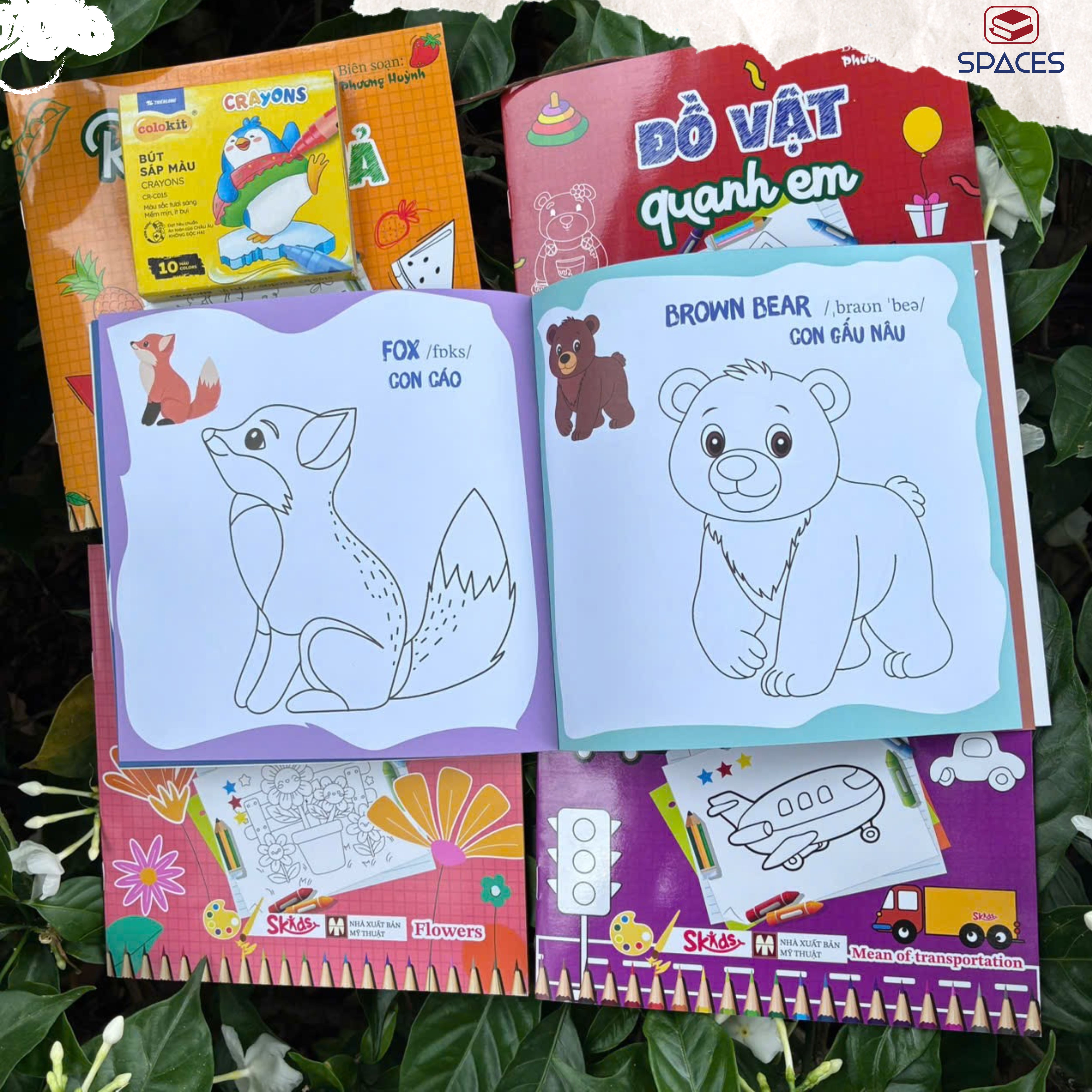 Sách - Tô Màu Thông Minh - ĐỘNG VẬT TRÊN CẠN - SKIDS