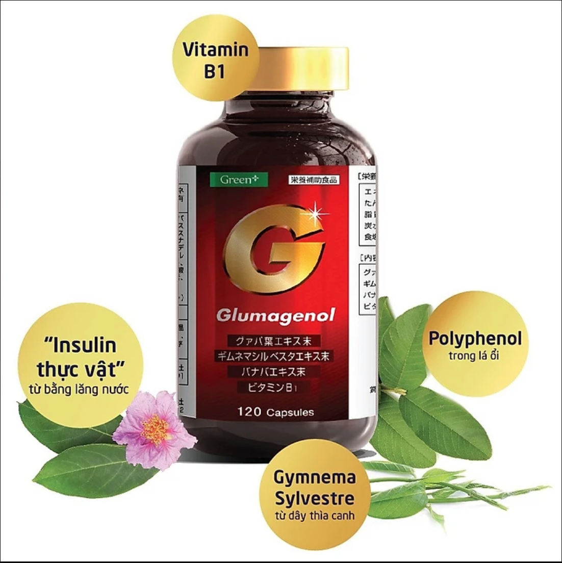 Viên uống hỗ trợ điều hòa đường huyết Nhật Bản - Glumagenol Green+