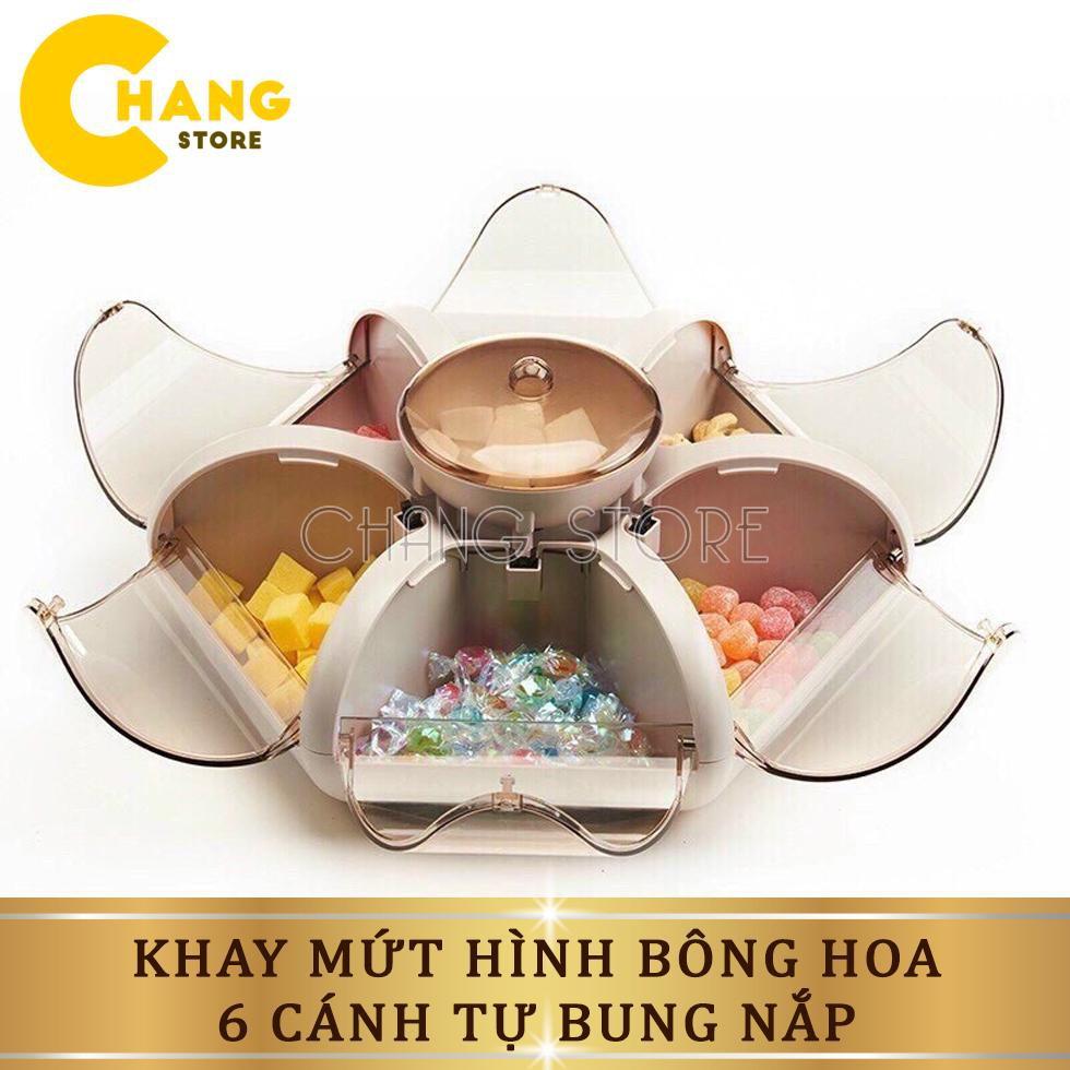 Khay mứt tết, khay mứt bánh kẹo tết hình bông hoa nắp 6 cánh độc lạ