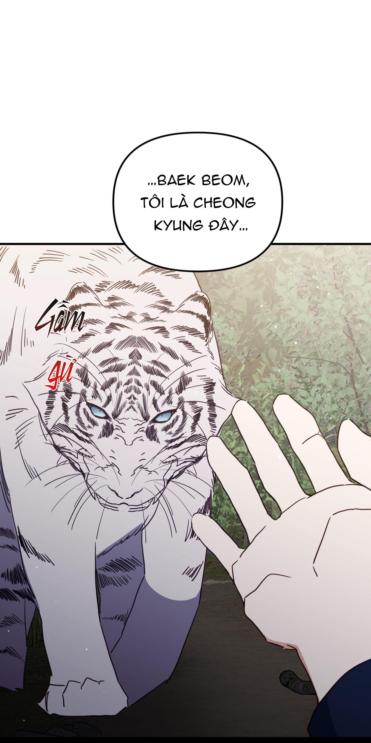 hổ trở về chapter 42 4