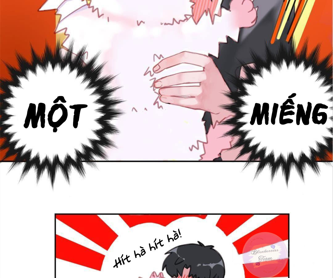 social cat chapter 1 63