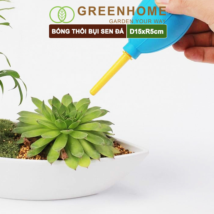 Bóng cao su thổi bụi Sen đá, D15xR5cm, làm sạch cây bonsai, bàn phím, máy ảnh, màu sắc ngẫu nhiên |Greenhome