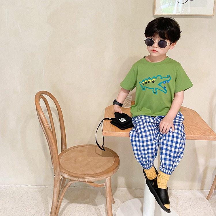 Áo phông trẻ em cộc tay, áo thun bé trai 10-33kg