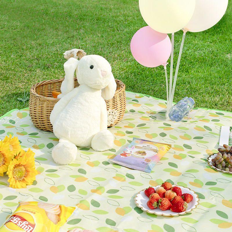 Thảm Dã Ngoại Chống Nước Thảm Picnic, Decor