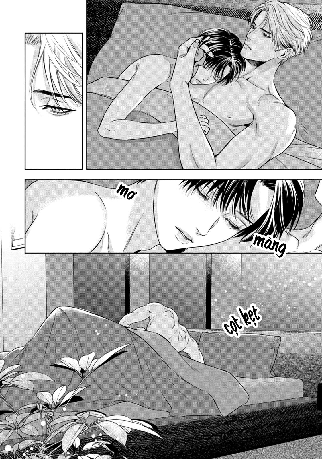 cô dâu của alpha chapter 14 18