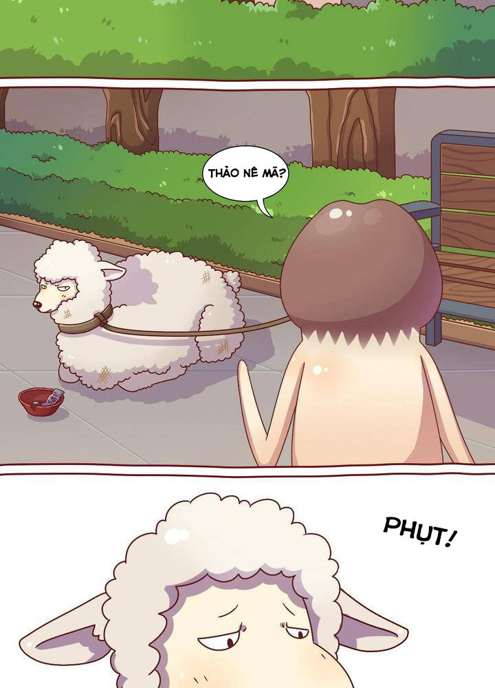 cây nấm kì khả chapter 20 3