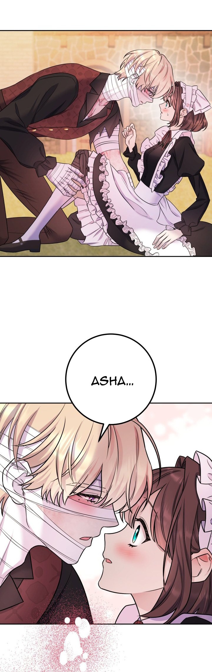 [18+] nếu cứu rỗi một cầm thú hư hỏng chapter 25.2 1