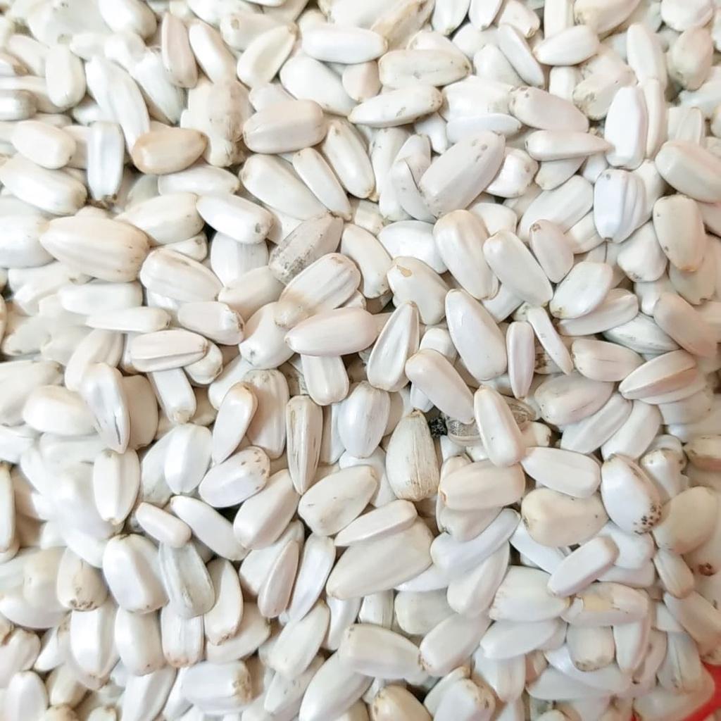 0,5kg hướng dương trắng nhỏ Ai Cập / lớn Kenya