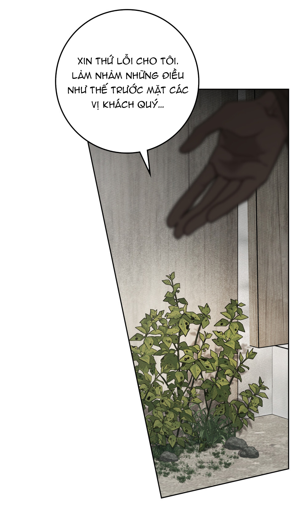 Dưới Bóng Cây Sồi chapter 116.2 15