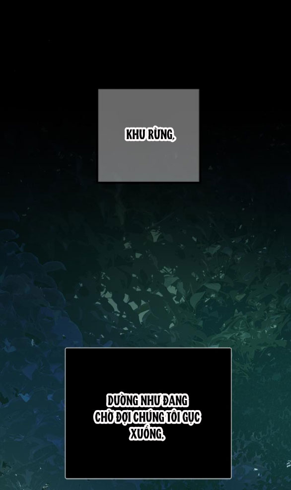 Cạm Bẫy chapter 176.1 52