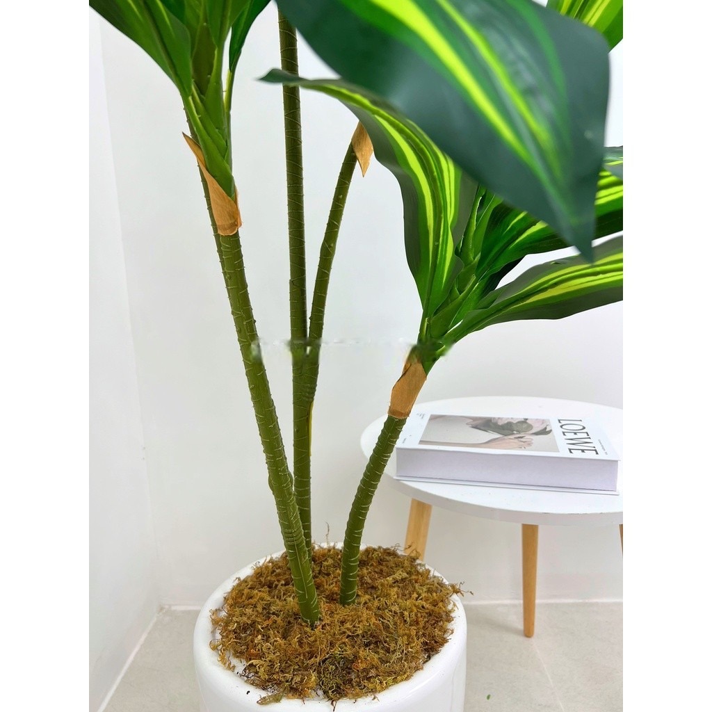 Cây thiết mộc lan giả - 5 nhánh - cao 150 cm - Cây giả, hoa lụa Decor trang trí nhà cửa