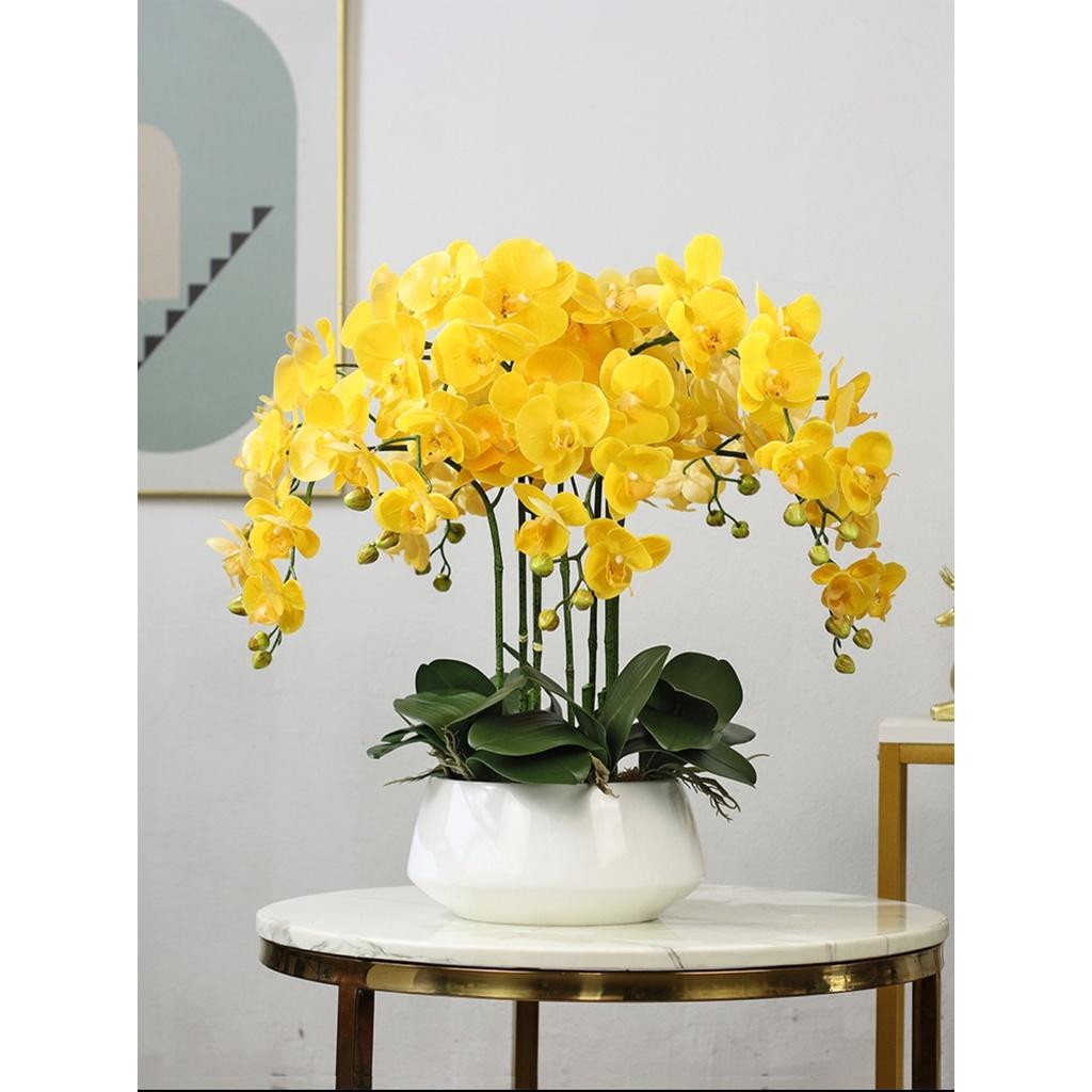 Chậu hoa lan hồ điệp cao su cao cấp cao 60cm trang trí phòng khách, làm quà khai trương sang trọng