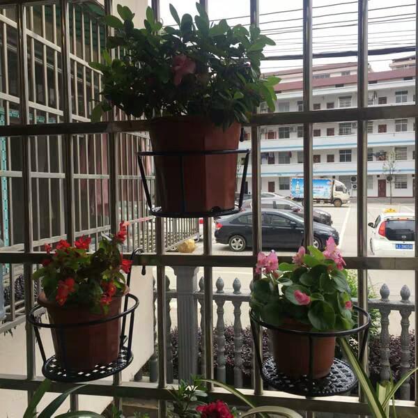 Giỏ treo cây cảnh ngoài ban công - Giỏ treo hoa