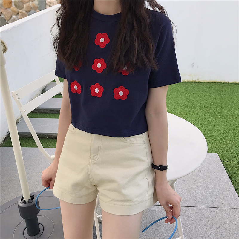 Áo croptop thun nữ Ulzzang Quảng Châu ATC29