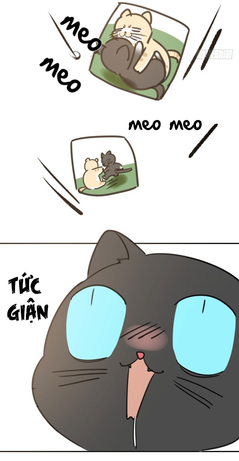 Bắt Lấy Ngao Ngao chapter 25 - Trang 38