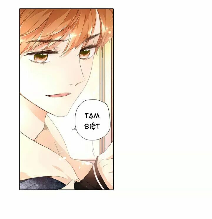 Tình yêu là màu hoa anh thảo chapter 15.2 12