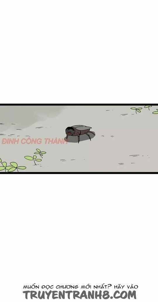 mục vụ chapter 4.3 48