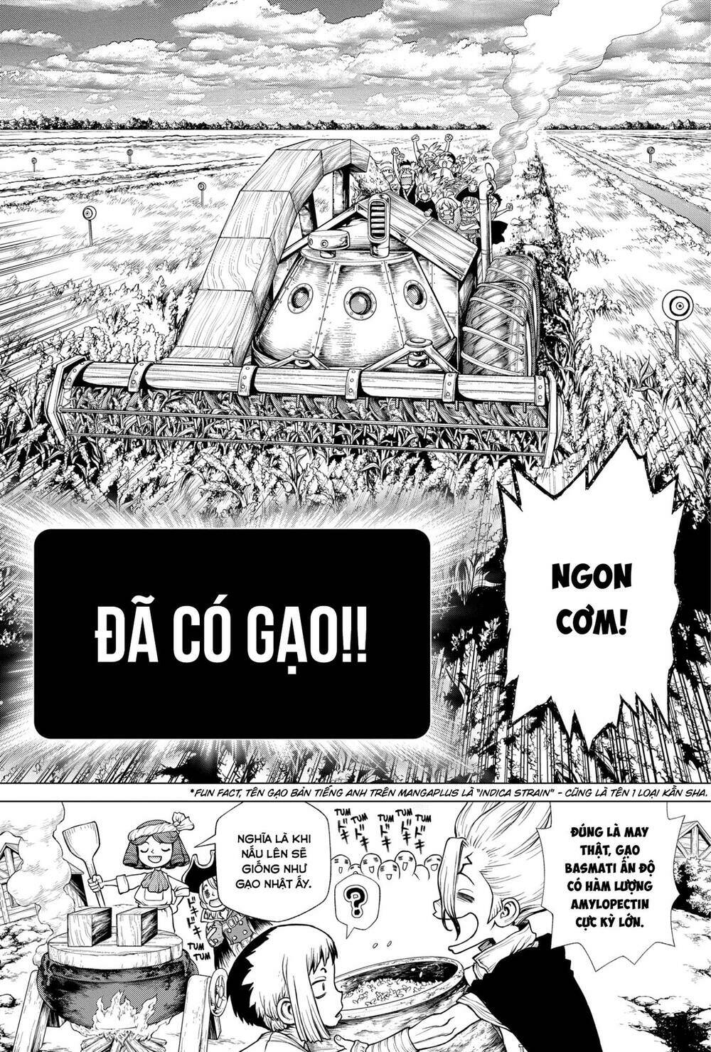 dr.stone - hồi sinh thế giới chapter 211 20