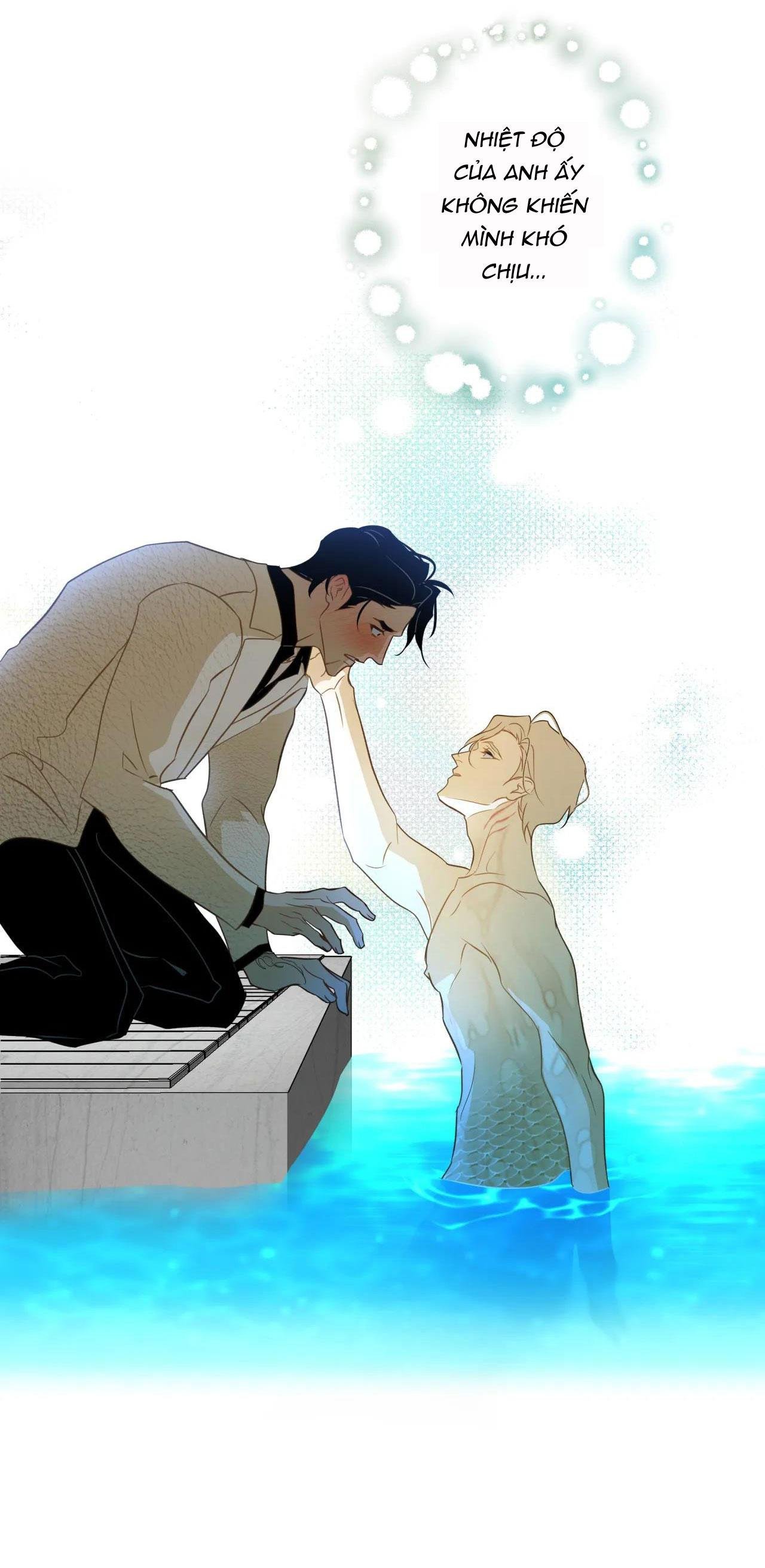 mỹ nhân ngư chapter 2 70