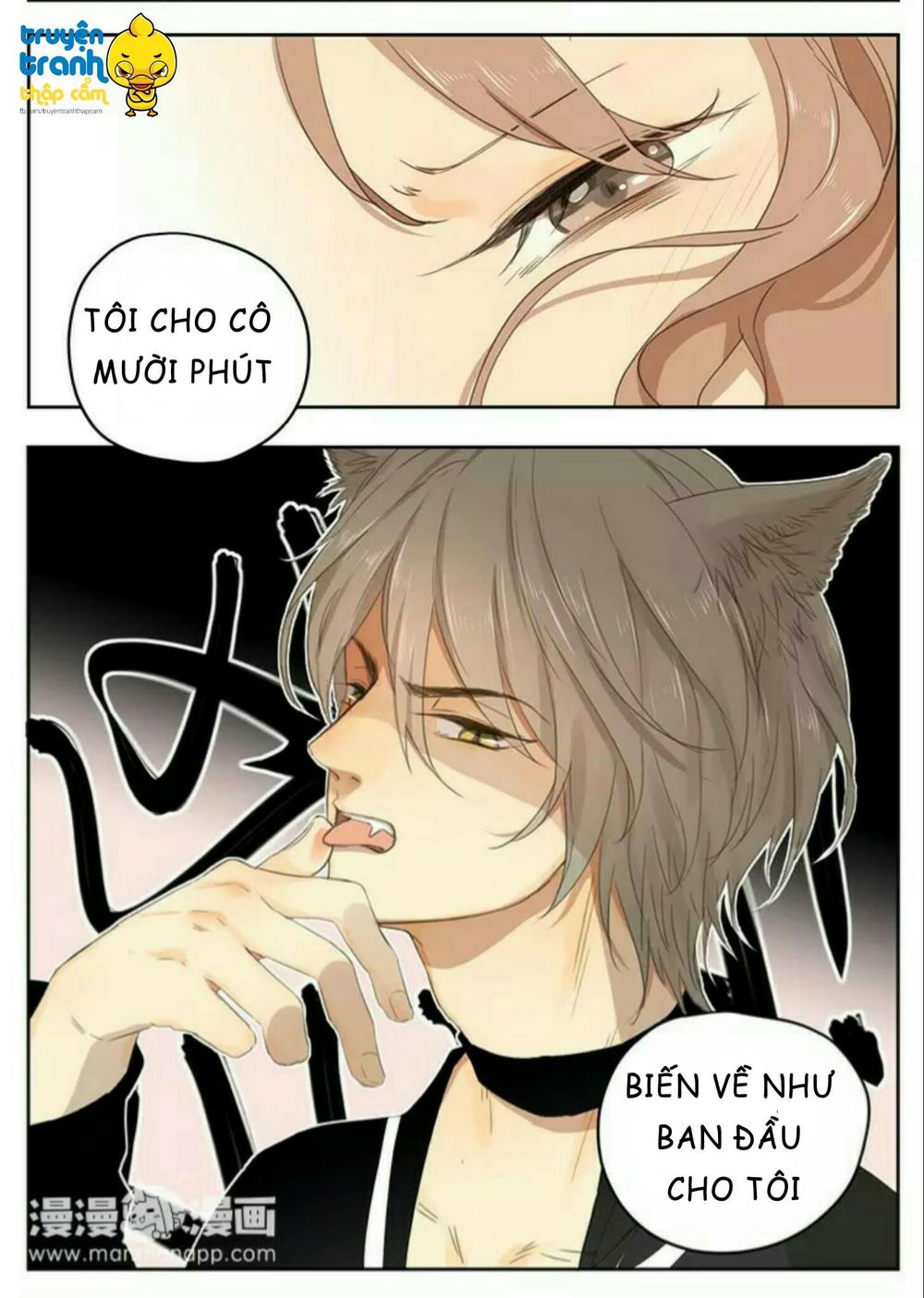 cứu mạng ! loài mèo thống trị thế giới rồi ! chapter 36 13