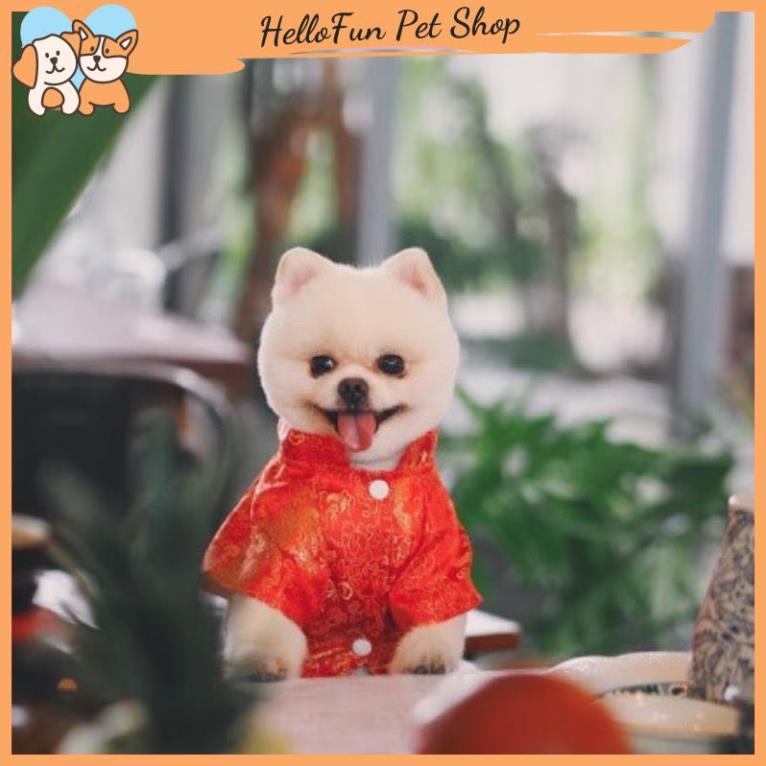 Quần áo Tết cho chó mèo, áo dài vải gấm cho thú cưng
