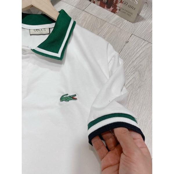 Áo polo nữ, áo thun polo nữ chất vải poly cá sấu MÃ 44