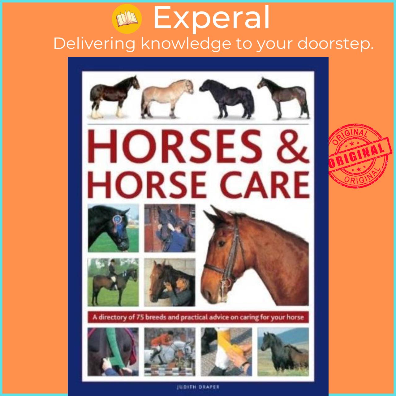 Sách - Horses & Horse Care - A directory of 75 breeds and practical advice on c by Judith Draper (UK edition, hardcover)