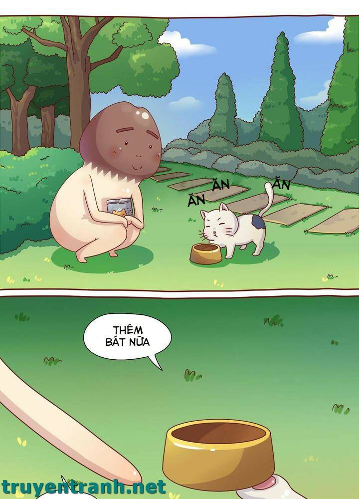 cây nấm kì khả chapter 7 3