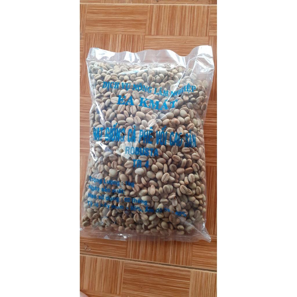 500gram hạt cà phê TR4 giống