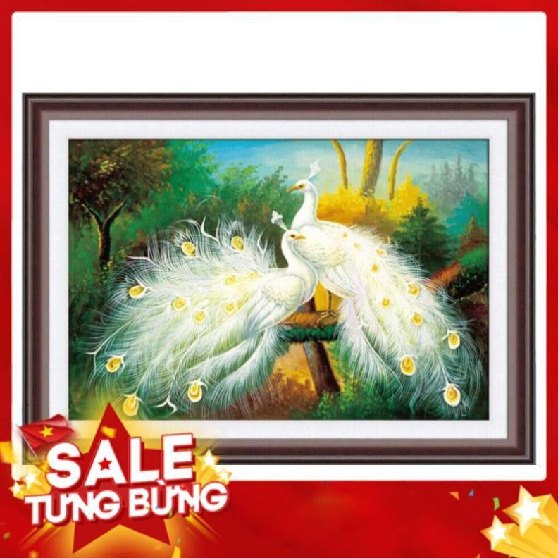 Tranh đính đá Chim công DF2661