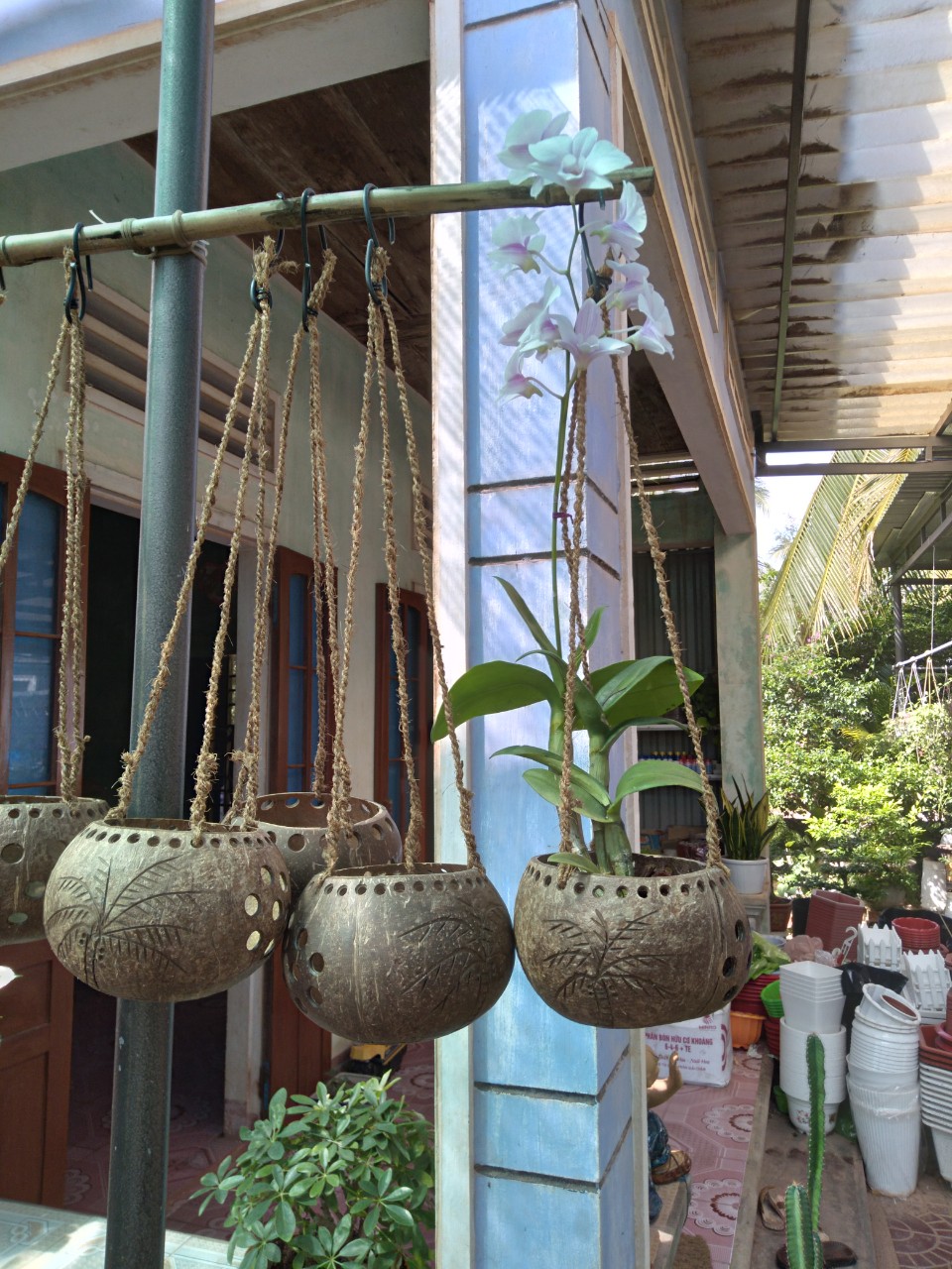 COMBO 3 CHẬU TRỒNG CÂY BẰNG GÁO DỪA SIZE LỚN DÀY MÀU TỰ NHIÊN