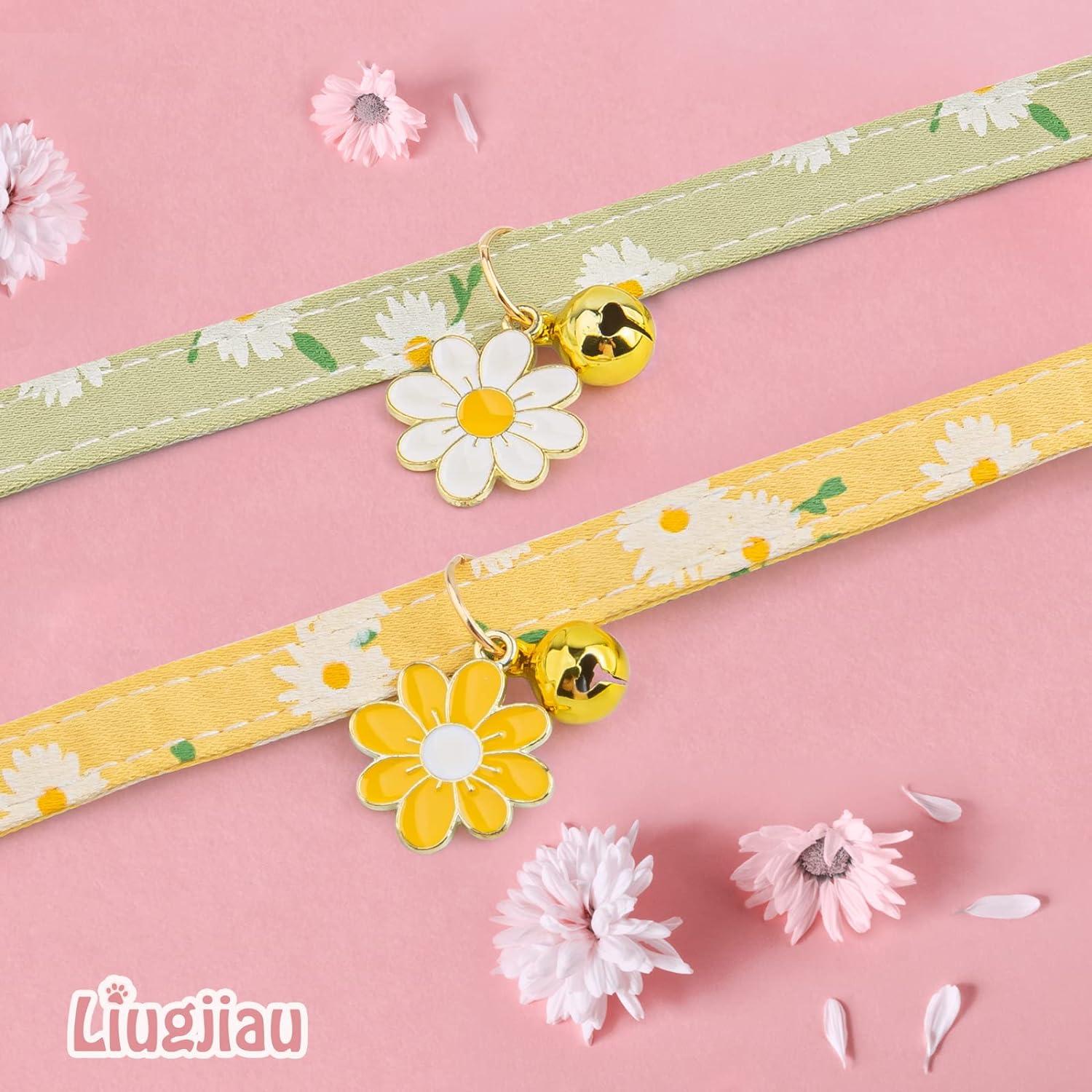 C, cổ áo mèo con mèo con mèo con mèo con mèo con mèo lựa chọn lý tưởng