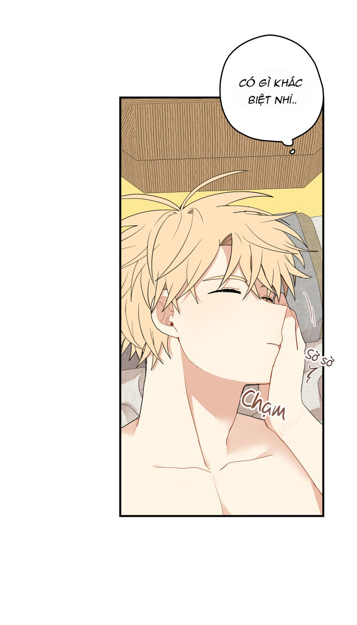 đường hoa liên kiều rơi chapter 18 29