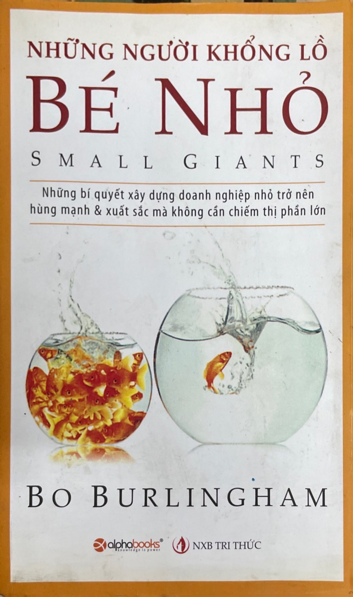 Những Người Khổng Lồ Bé Nhỏ