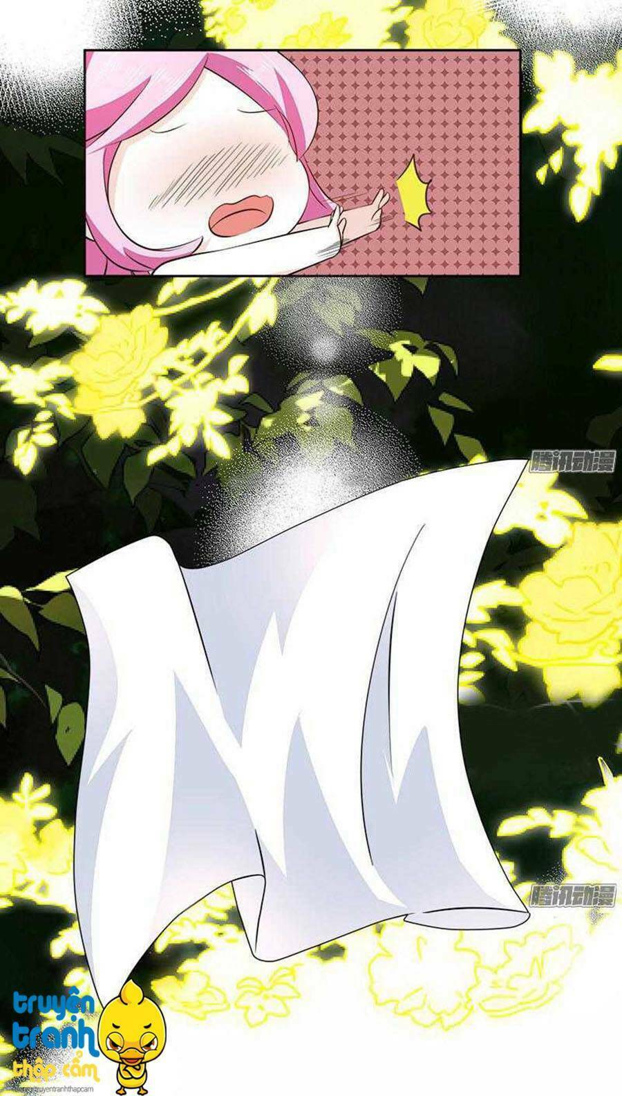 cường sủng hào môn tiểu manh thê chapter 23 9