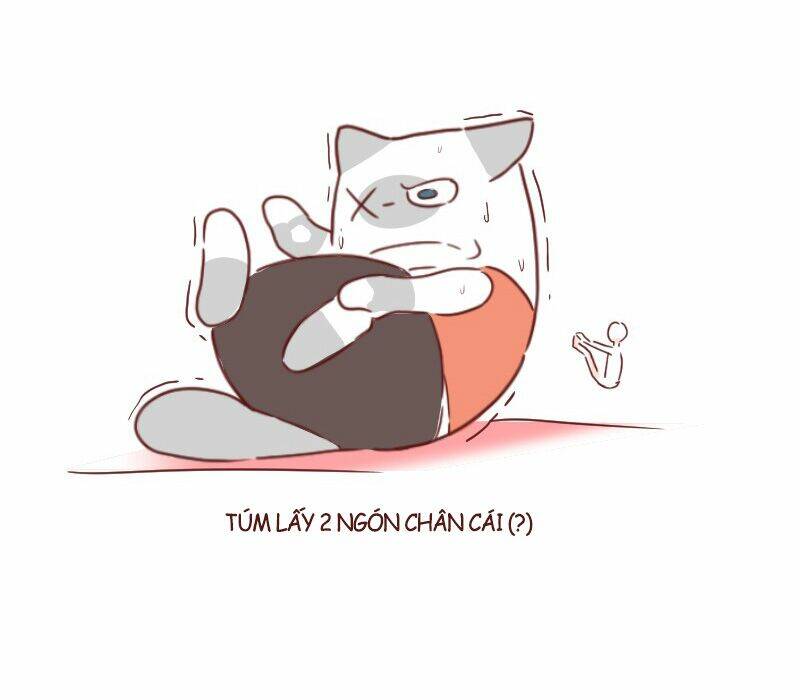 saphie: chú mèo một mắt chapter 25 10