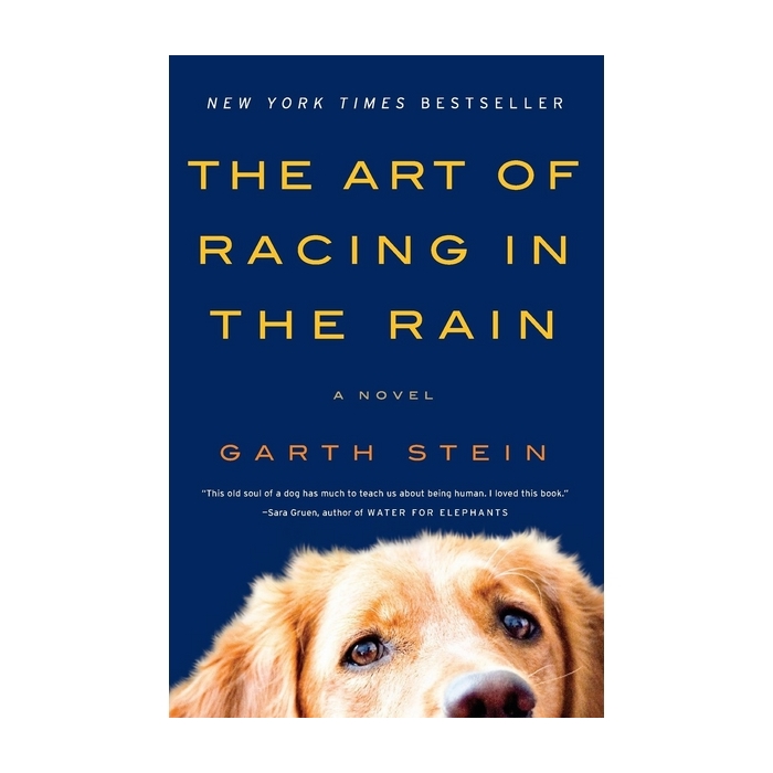 The Art Of Racing In The Rain