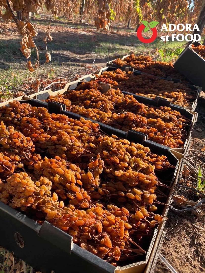 Nho khô nguyên cành THOMPSON Úc Dried Grapes Adora st Food (mẫu Quà Tết 1kg/hộp) ngon, bổ dưỡng, giàu vitamin, khoáng chất tự nhiên-QuaTangMe Extaste