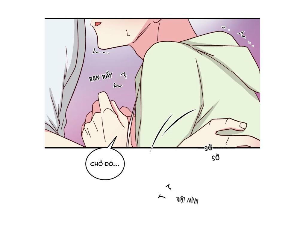 món tráng miệng của sếp tổng chapter 59 9