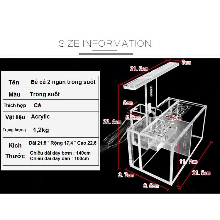 Bể cá betta 2 ngăn trong suốt