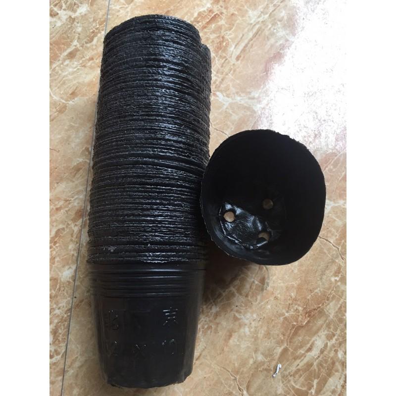 1kg bầu đen 12x10 chỉ 65 nghìn được khoảng 420 chiếc