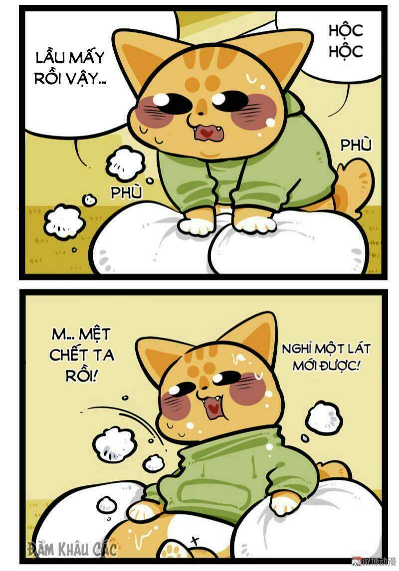 đời không như mình tưởng chapter 60 7