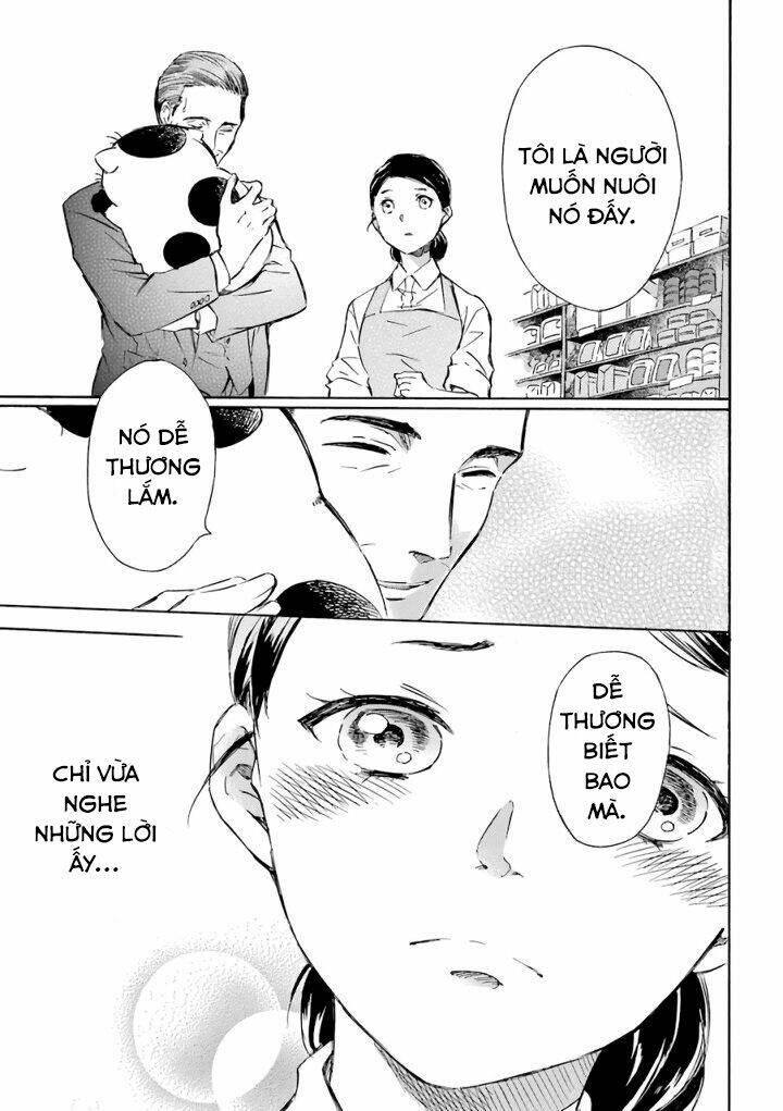 ông chú và con mèo mặt bựa chapter 15.6 7