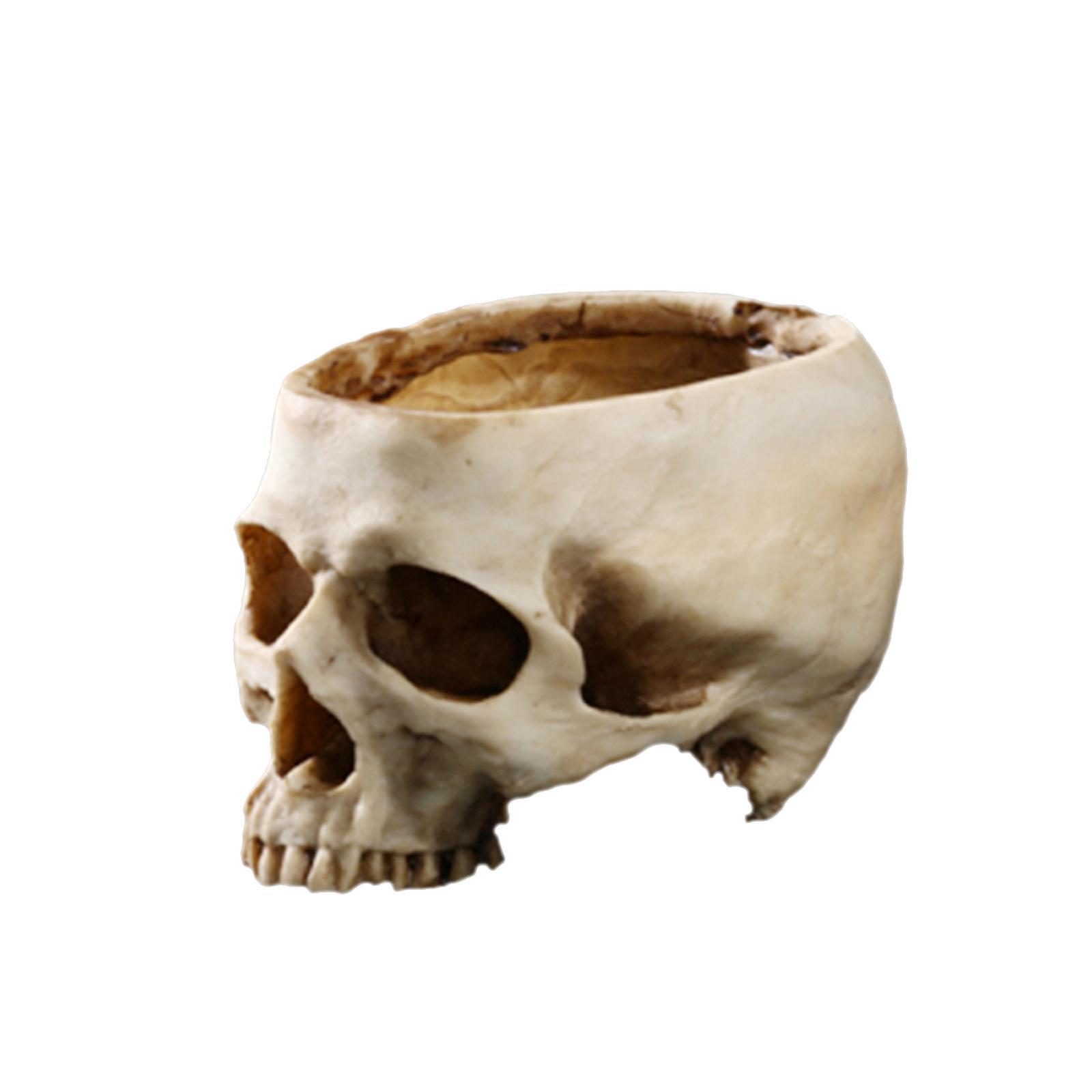 16.5cm Human  Flower Pot Planter Container Watering Device