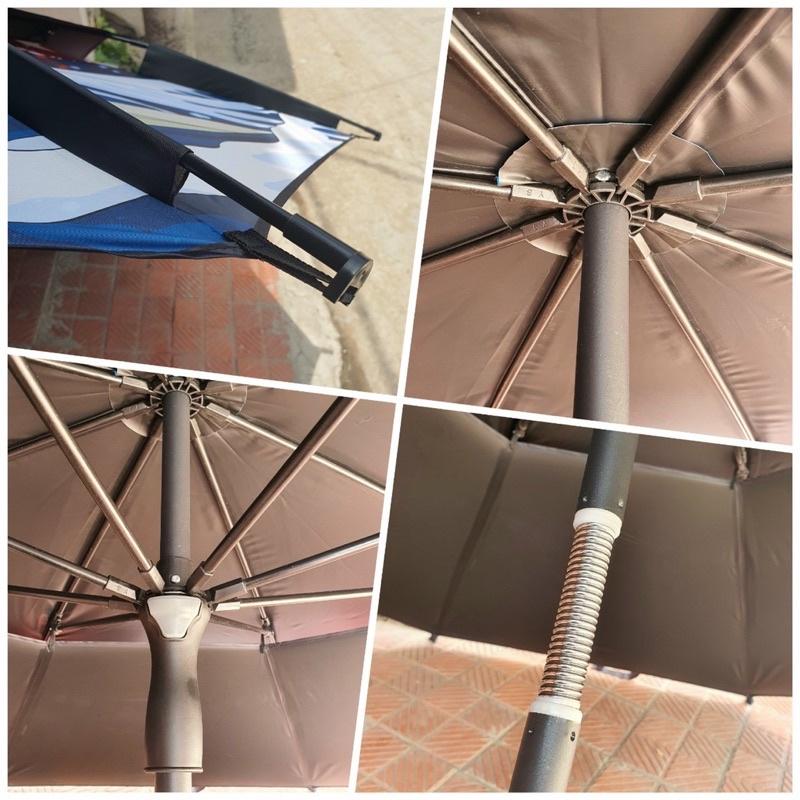 Ô 2 tầng cá chép hoá rồng